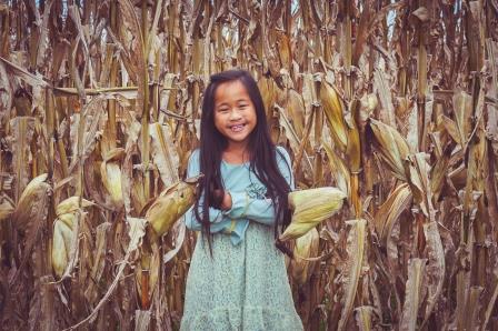 Fall Pictures